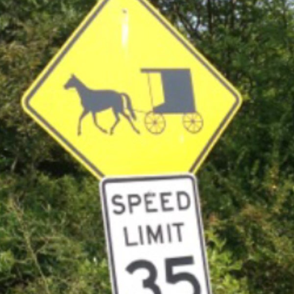 Delano Community Farm Market 3 tips