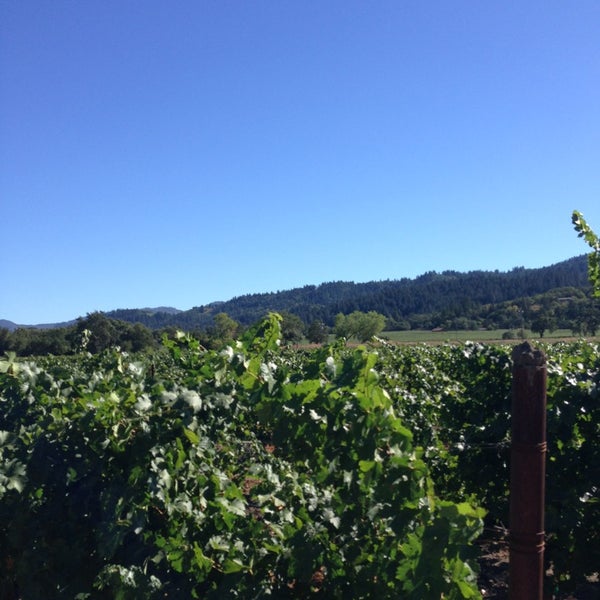 Photo taken at Benessere Vineyards by Shannon P. on 8/30/2013