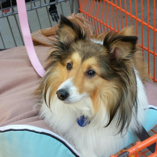 The Home Depot Carmel Mountain San Diego, CA'da fotoğraflar