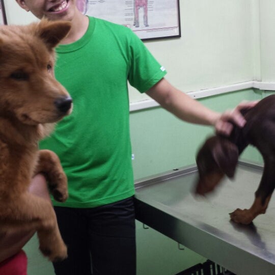 Assumpta dog best sale and cat clinic