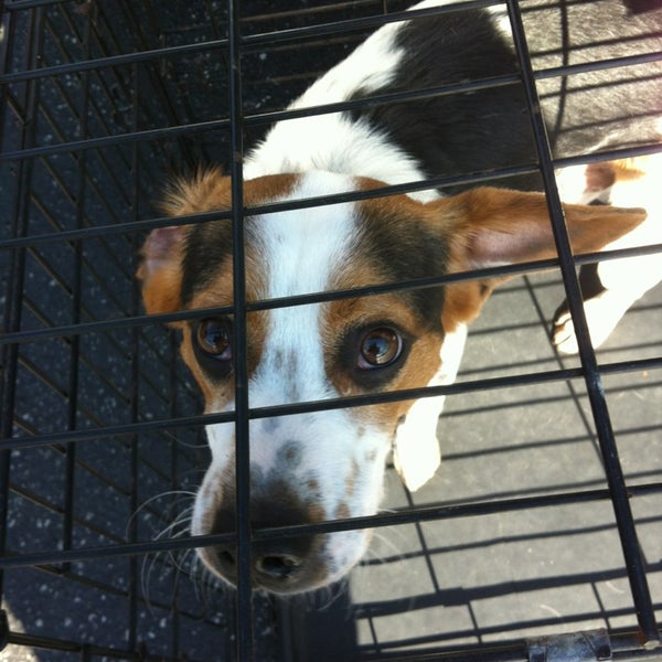 PetSmart 7 tips from 725 visitors