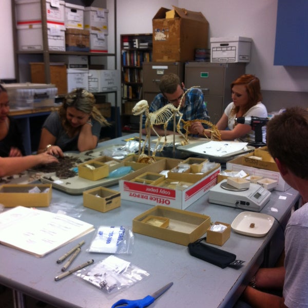 Bone lab. Bone lab