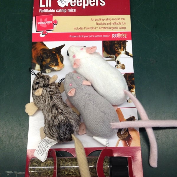 petland discounts brooklyn