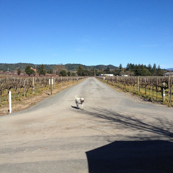 Photo taken at Amista Vineyards by Erica P. on 2/24/2013