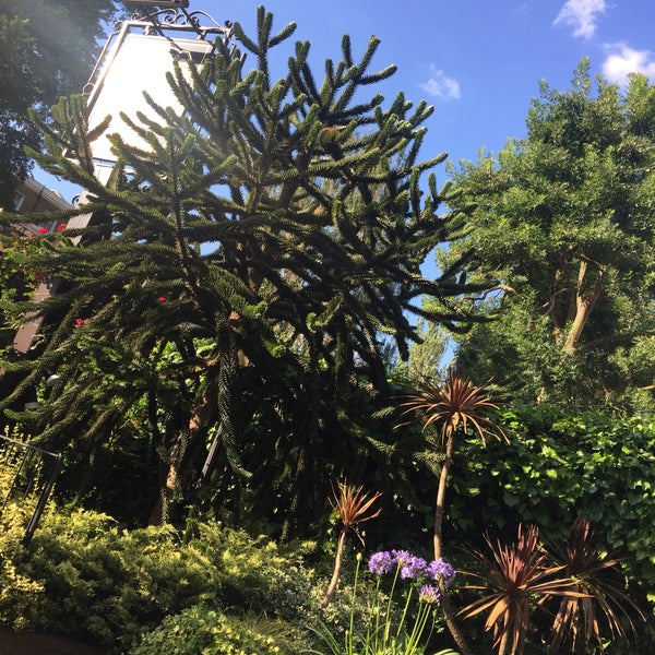 The Monkey Puzzle Pub em Paddington