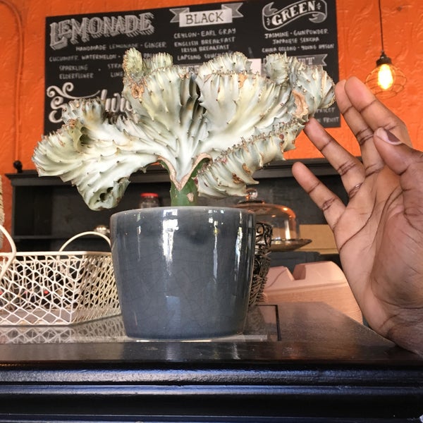 3/18/2017にKatie B.がMojo Coffee Houseで撮った写真
