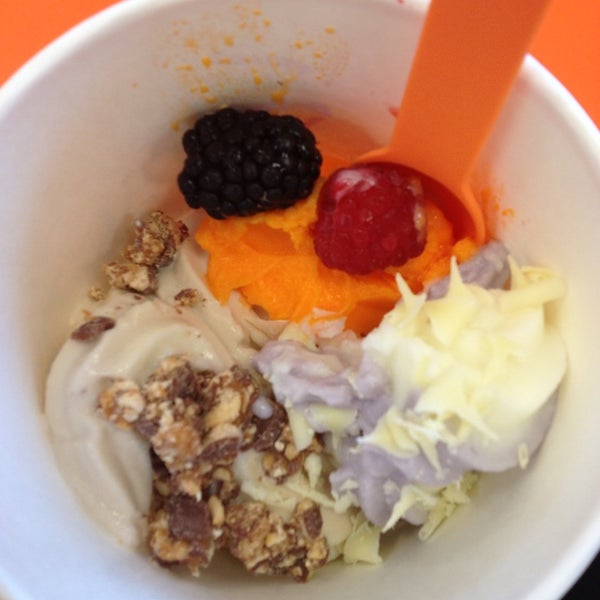 Yotality Frozen Yogurt Shop in Williamsville