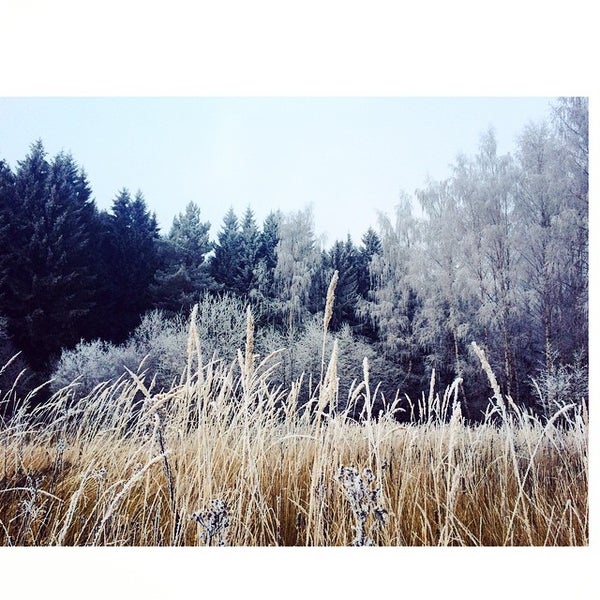 Photos at Талицы - Village in деревня Талицы