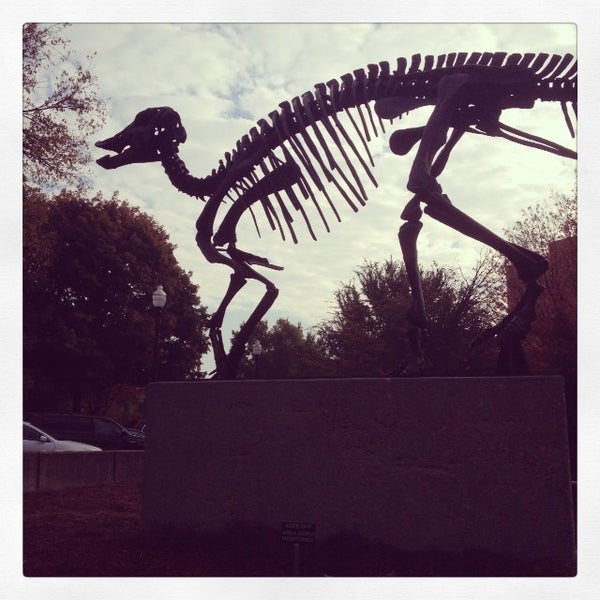 Photo taken at McClung Museum of Natural History and Culture by Ken M. on 10/29/2013