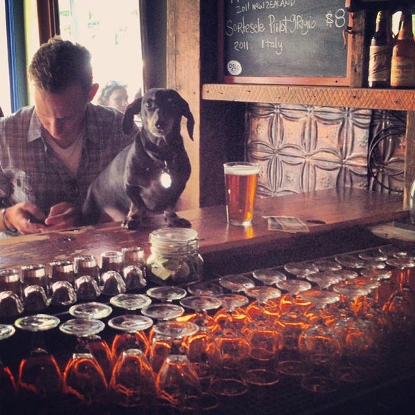 Are Dogs Allowed In Bars Nyc