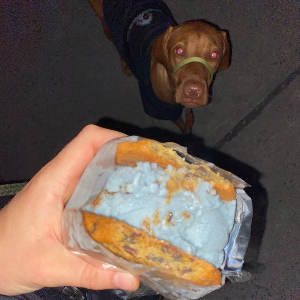 Owowcow Creamery Ice Cream Parlor in Lambertville