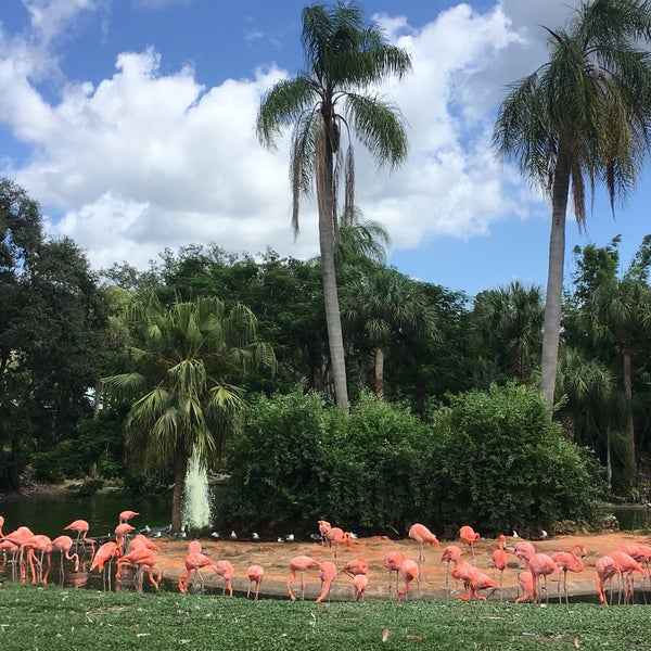 9/19/2019에 Hawkeye님이 Busch Gardens Tampa Bay에서 찍은 사진