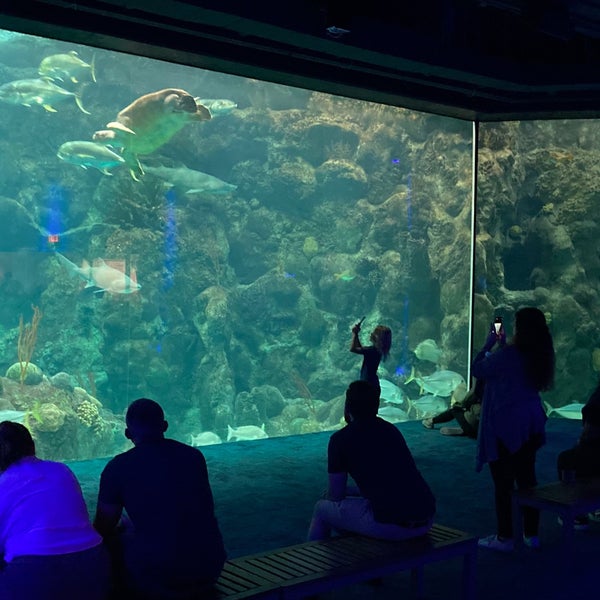 Foto scattata a The Florida Aquarium da Hawkeye il 5/20/2022