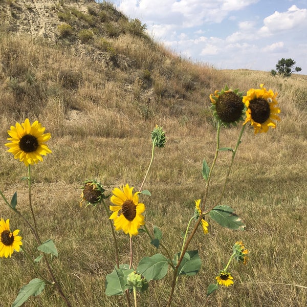 A tip at Pawnee National Grassland