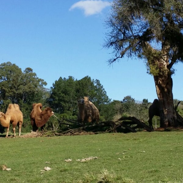 Photo taken at Pampas Safari by Lara T. on 7/12/2014