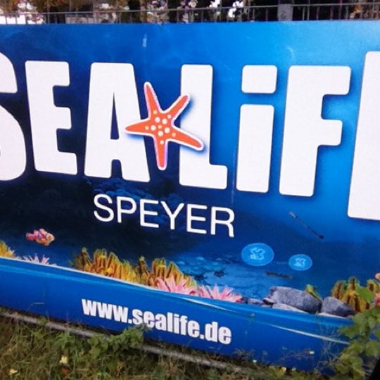 Снимок сделан в Sea Life Speyer пользователем Thomas R. 10/14/2012