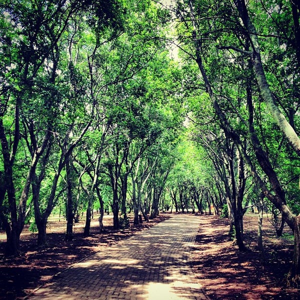 Johannesburg Botanical Gardens Randburg, IGauteng