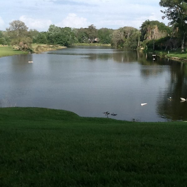 Photos at Allen's Creek Park Clearwater, FL