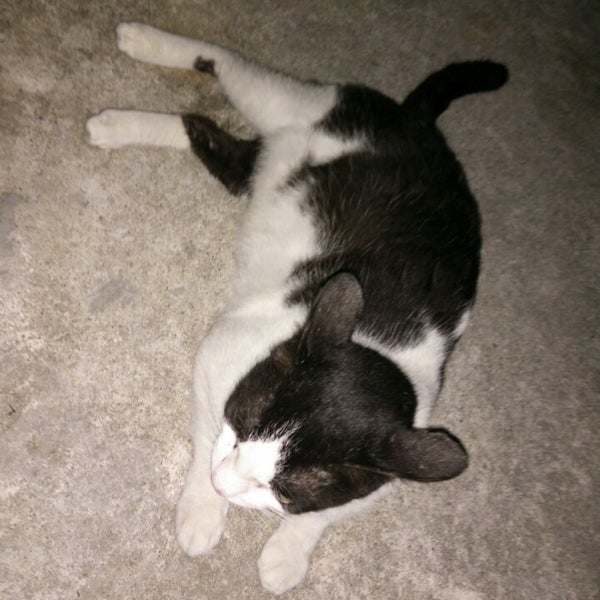 Photos at Jalan Pualam Dua 7/32B, Seksyen 7 - 8 tips