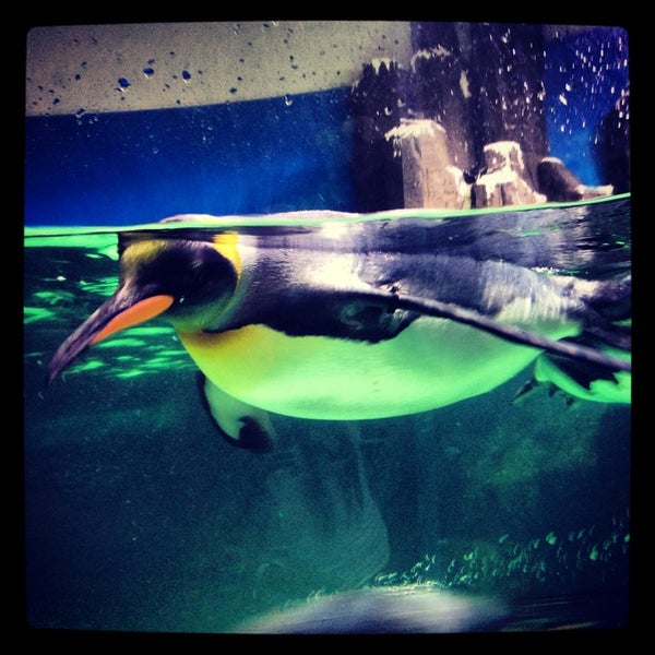 SEA LIFE Melbourne Aquarium
