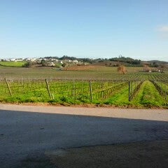 Photo taken at Quinta do Gradil by Miguel R. on 1/12/2013