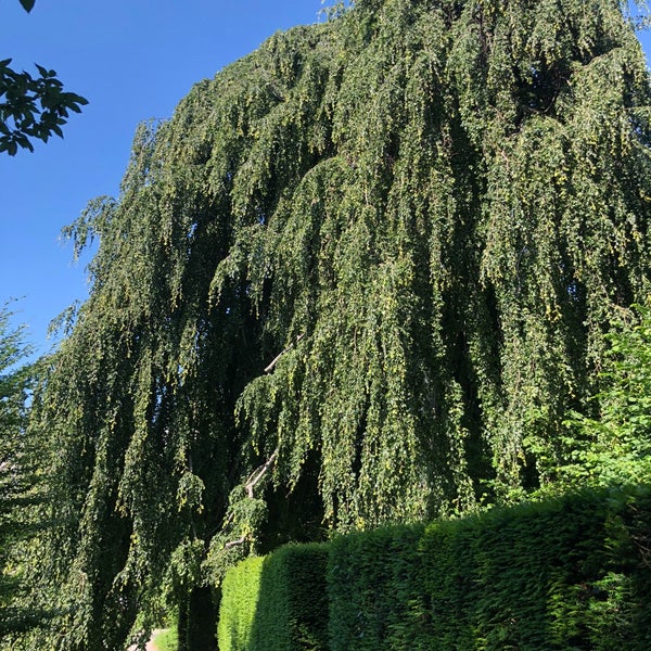 Alter Botanischer Garten Park in Zürich