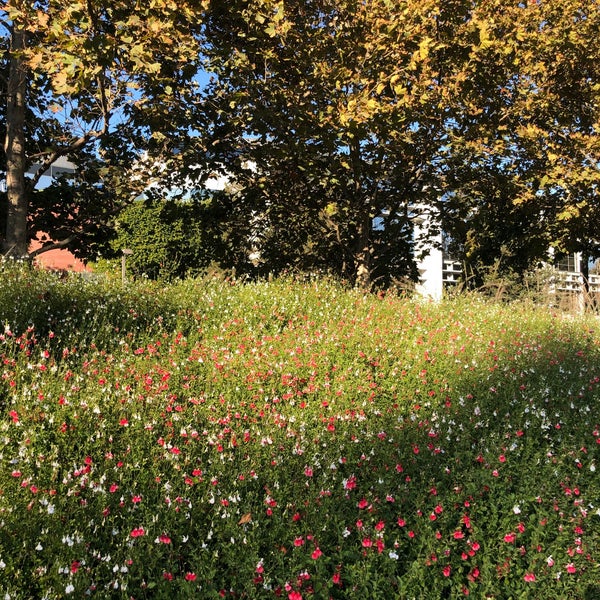 Photo taken at Googleplex - 43 by Юрий П. on 10/17/2018