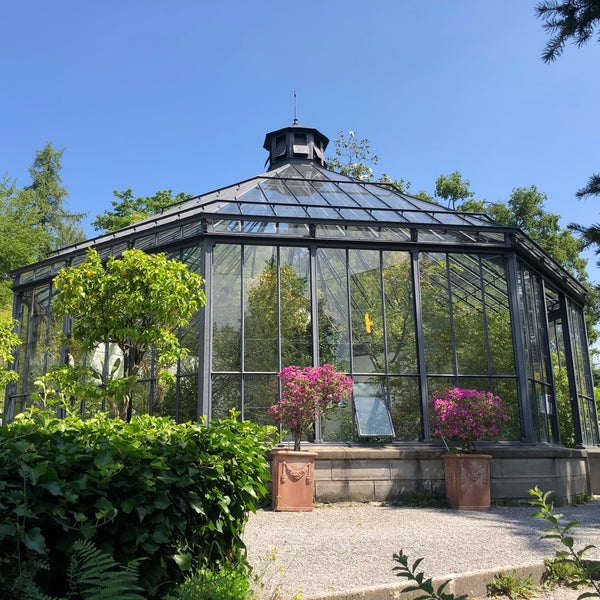 56+ Alter Botanischer Garten Zürich, Mitten im stadtzentrum von