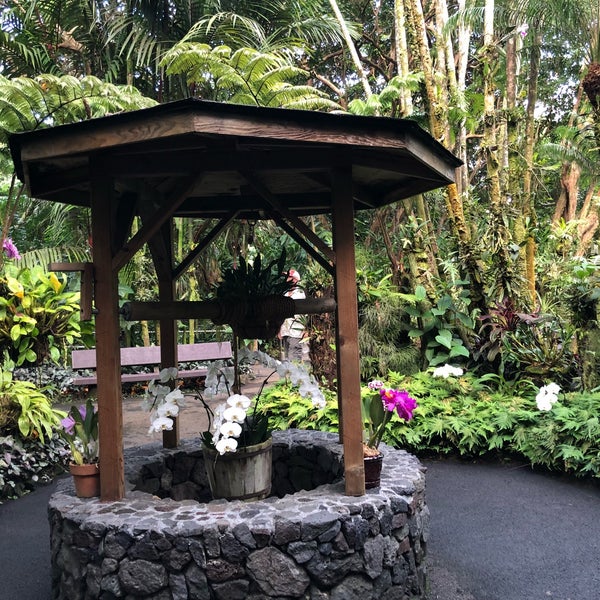 11/29/2018에 Юрий П.님이 Hawaii Tropical Botanical Garden에서 찍은 사진