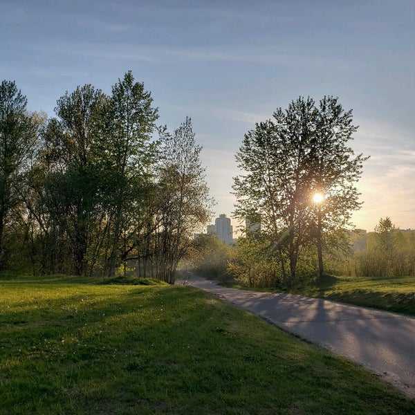 Медвежино парк