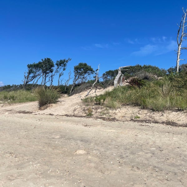 Higbee Beach Cape May, NJ