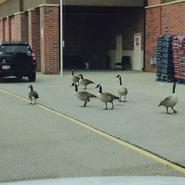 Walmart Supercenter (Now Closed) 1143 Smiley Ave