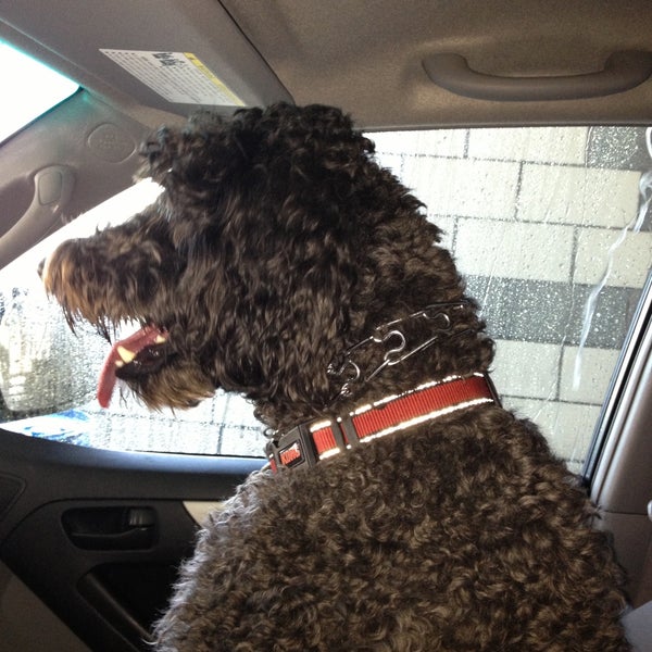 Jack's Car Wash Company Woodward Park 8995 N Cedar Ave