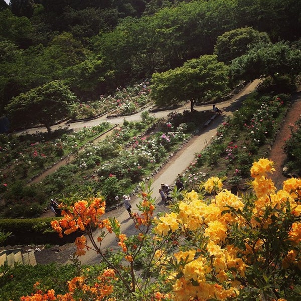 Photos At 長谷ぼたん園 南部町 青森県