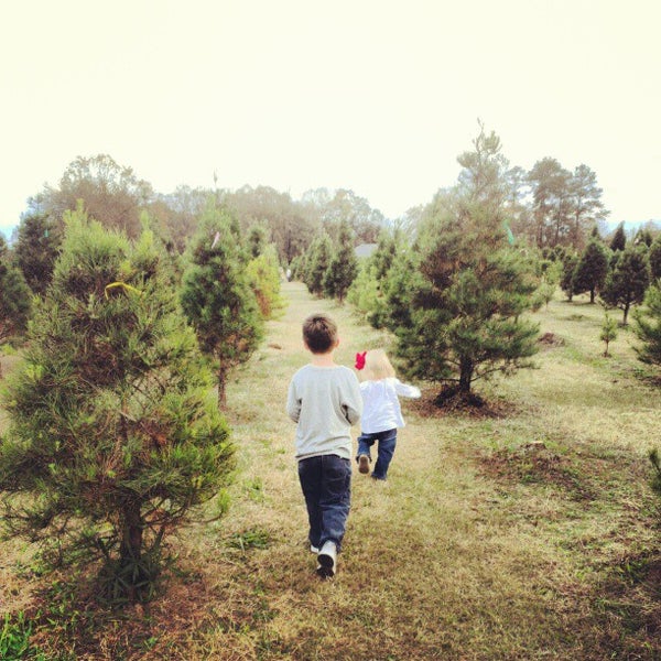 Photos at Old Baker Farm Harpersville, AL