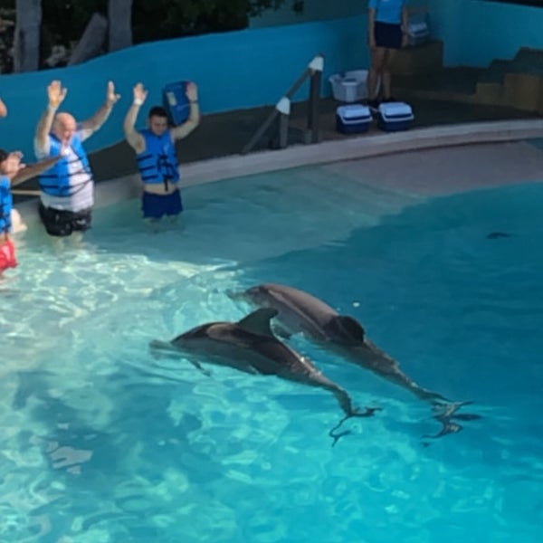 Foto tirada no(a) Aquarium Cancun por Shawn C. em 1/4/2019
