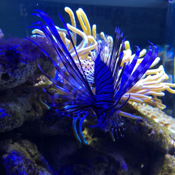 รูปภาพถ่ายที่ Aquarium Cancun โดย Shawn C. เมื่อ 1/4/2019