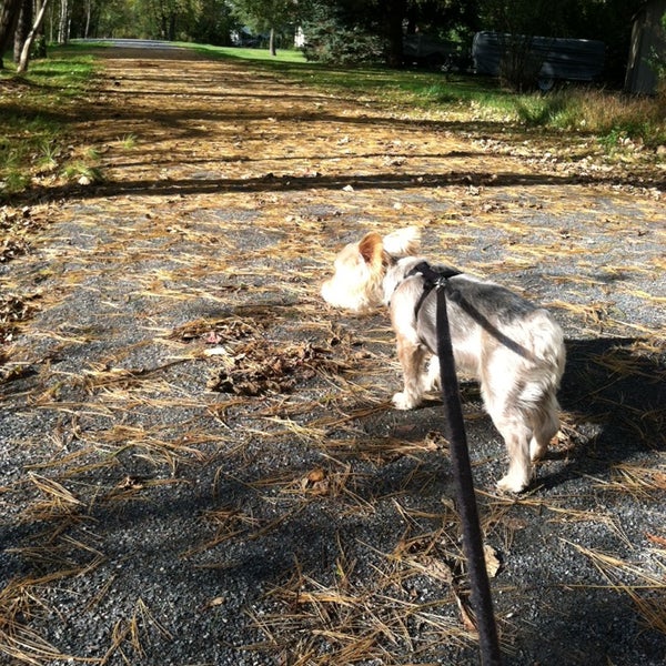 Plainfield Rail Trail Hiking Trail in Plainfield