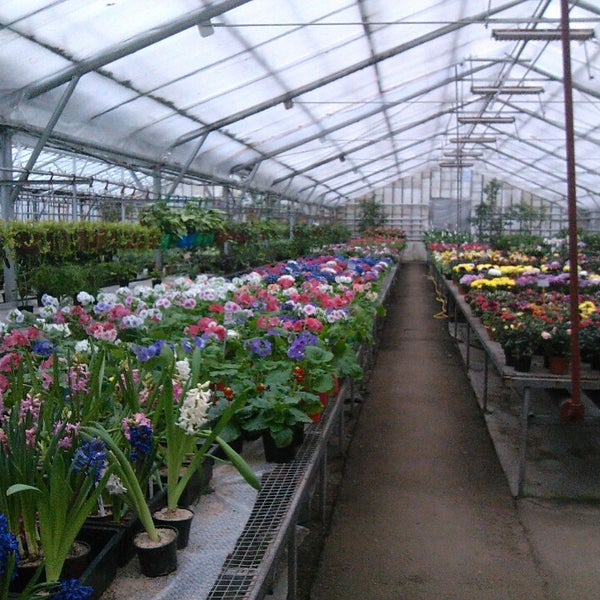 Останкинский совхоз. Останкинский совхоз