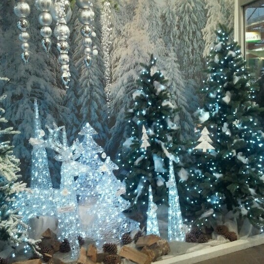 Photos At Lenders Gartencenter Flower Shop