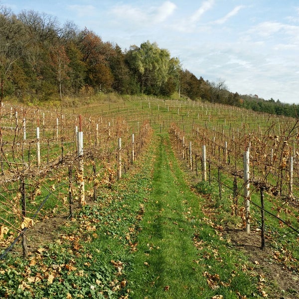 Das Foto wurde bei Wollersheim Winery von Keith C. am 11/2/2014 aufgenommen