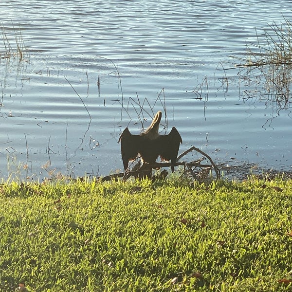 Freedom Lake Park Lake in Pinellas Park