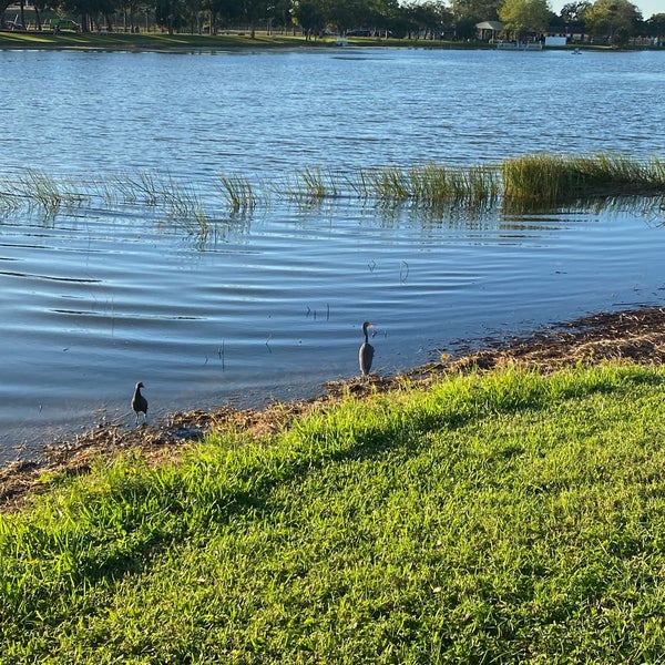 Freedom Lake Park Lake in Pinellas Park