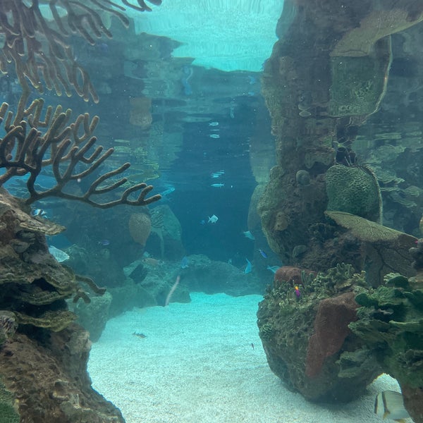 Photo taken at New York Aquarium by Anabel Q. on 3/18/2023