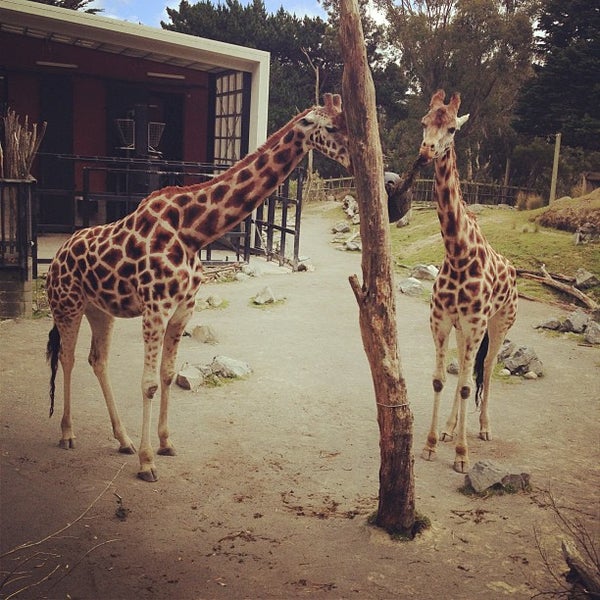 Photo taken at Wellington Zoo by Yana G. on 12/1/2012