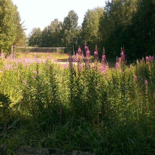 Погода в грузино. Село грузино новгородская область. Погода в грузино. Грузино ленинградская. Церковь андрея первозванного грузино.