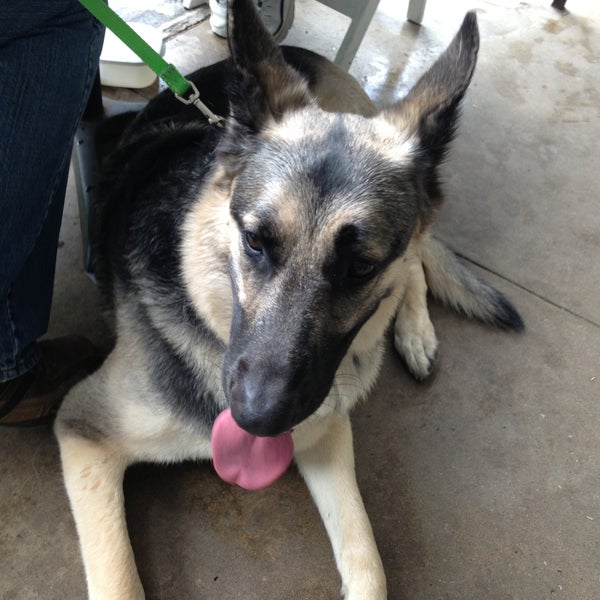 Dog friendly outside seating!