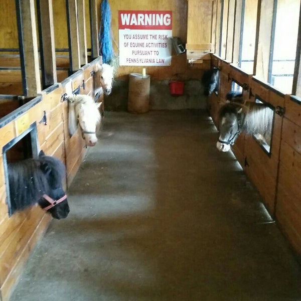 Photos At The Country Store And Miniature Horse Barn