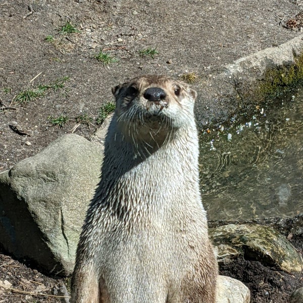 Photo taken at Prospect Park Zoo by Martin S. on 3/21/2021