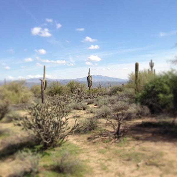 Mcdowell Mountain Reg. Park Visitor Center Hiking Trail